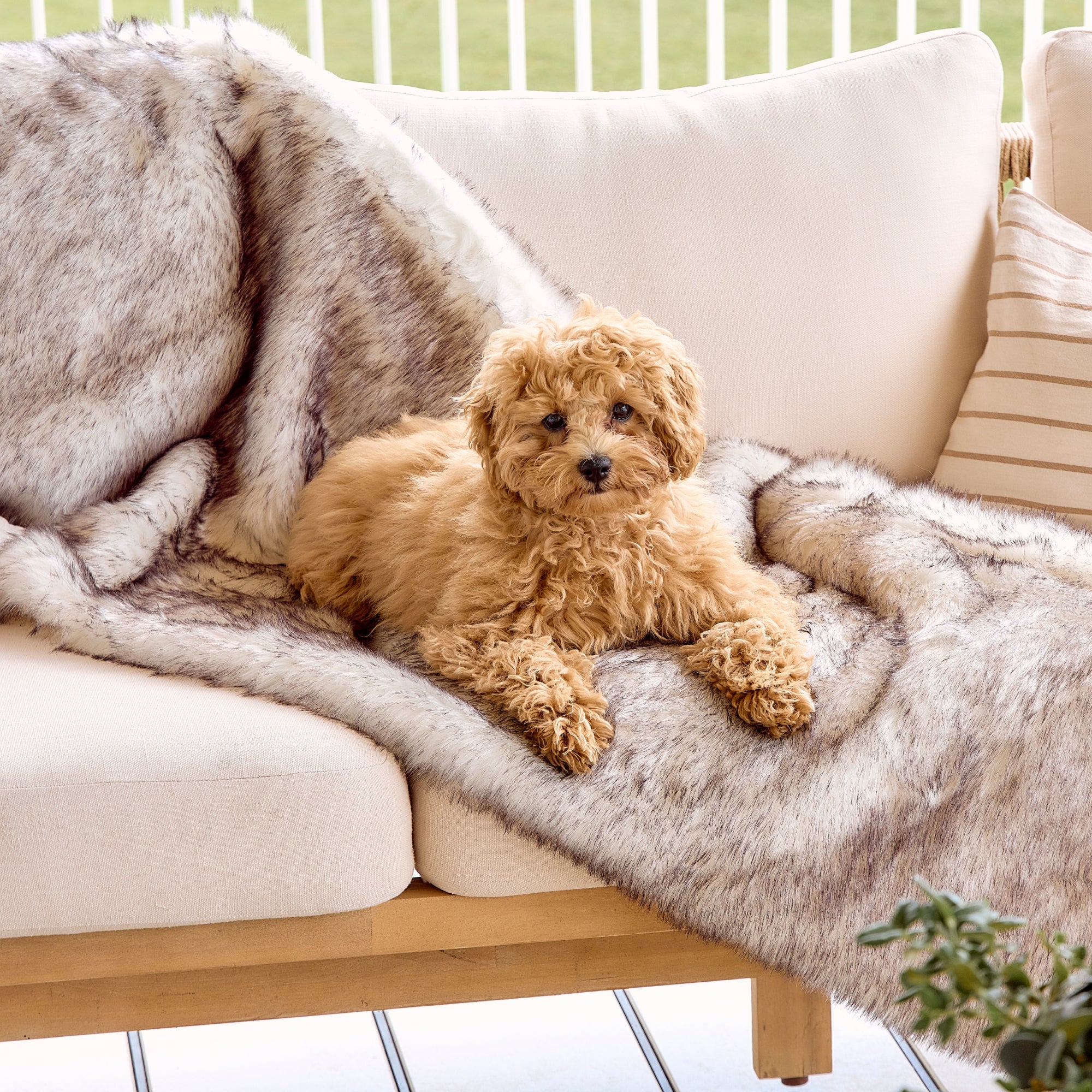 The Boujee Blanket